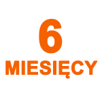 PAKIET "PREMIUM" 6 MIESIĘCY | PONAD 130+ POLSKICH KANAŁÓW | WIDEOTEKA | MULTIROOM NA 5 URZĄDZENIACH | ARCHIWUMNA NA WSZYSTKICH KANALACH | 30 KANAŁOW EROTYCZNYCH